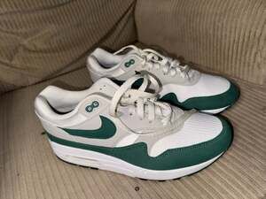 Size 9.5 - Nike Air Max 1 Evergreen 2020 194499327813